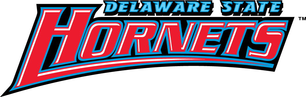 Delaware State Hornets 2004-Pres Wordmark Logo iron on transfers for fabric